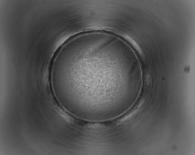 X0000101471023200807141346