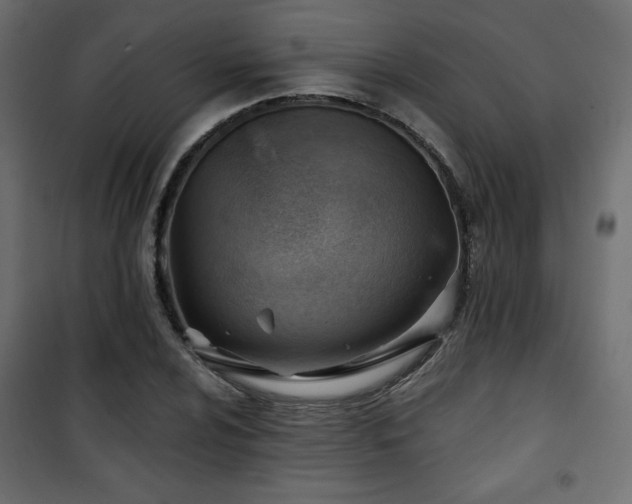 X0000101471024200807141346