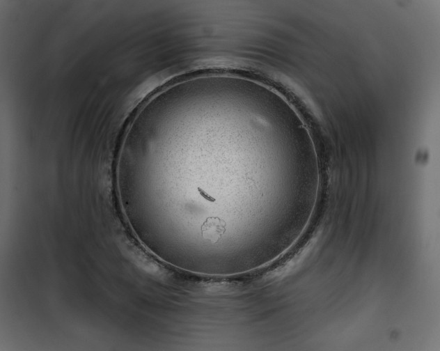 X0000101471025200807141346
