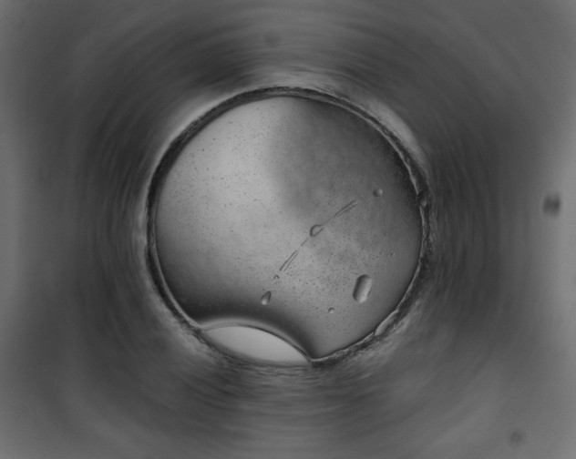 X0000101471028200807141346