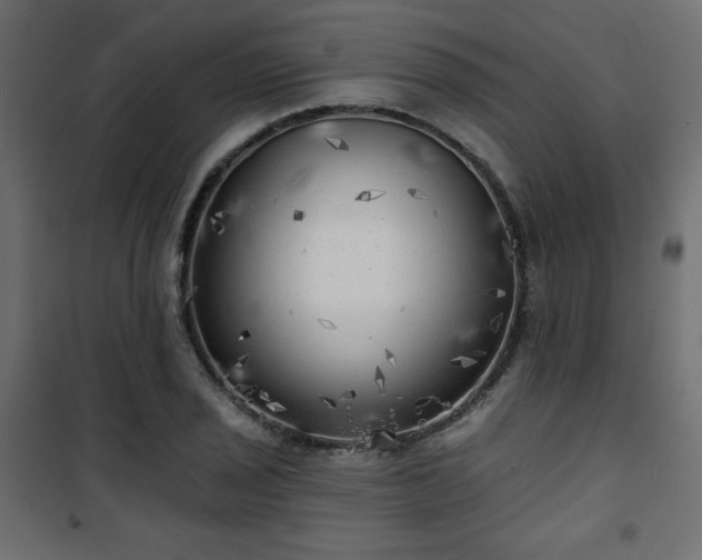 X0000101471029200807141346