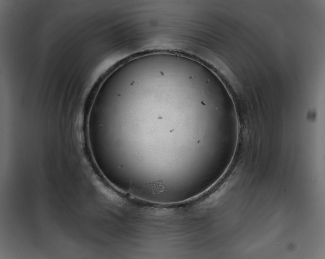 X0000101471030200807141346