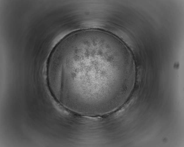 X0000101471031200807141346