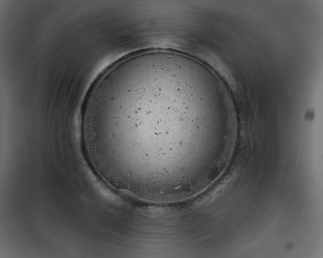 X0000101471032200807141346