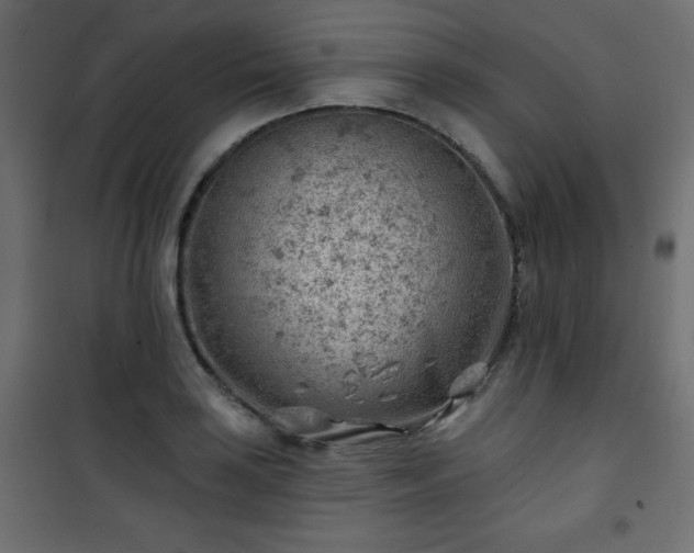 X0000101471035200807141346