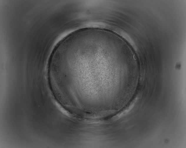 X0000101471037200807141346