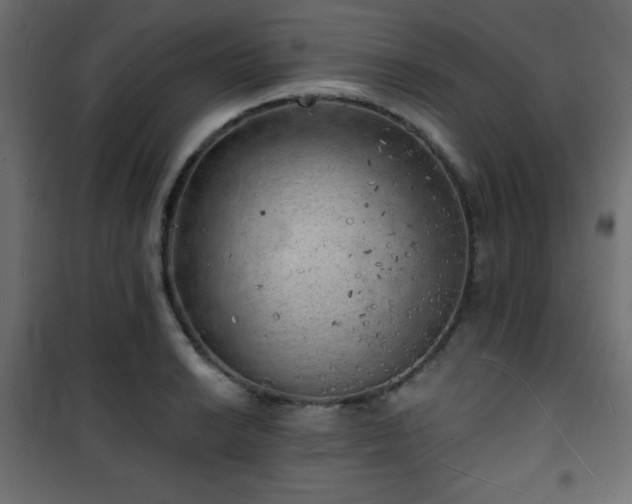 X0000101471038200807141346
