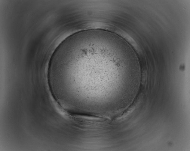 X0000101471039200807141346