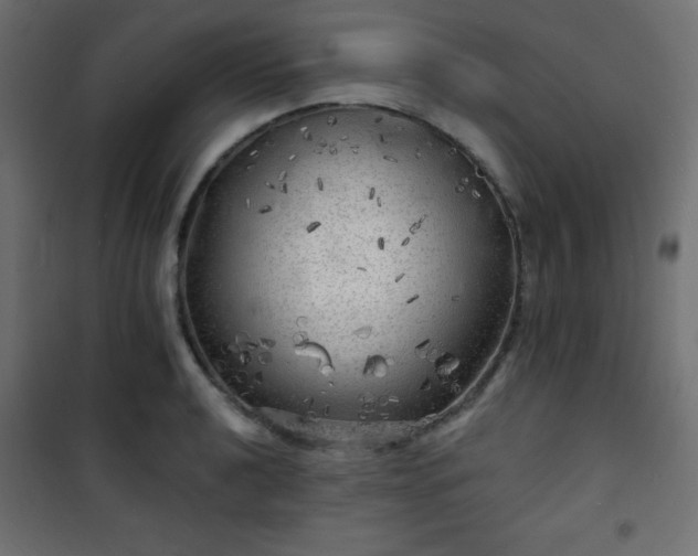 X0000101471040200807141346
