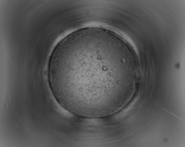 X0000101471045200807141346