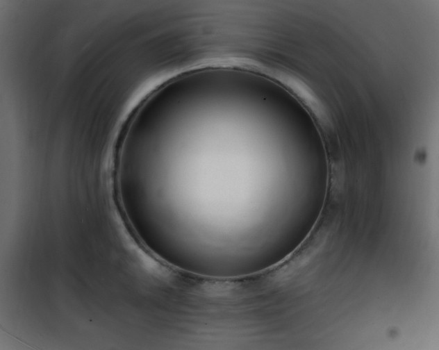 X0000101471046200807141346