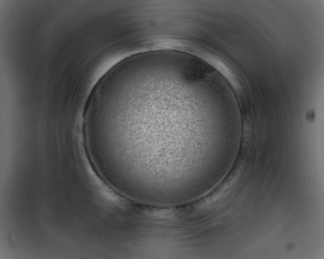 X0000101471047200807141346