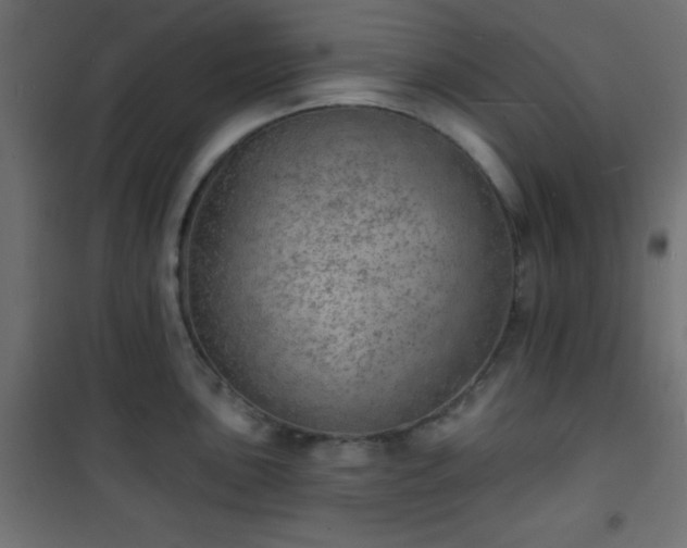 X0000101471051200807141346