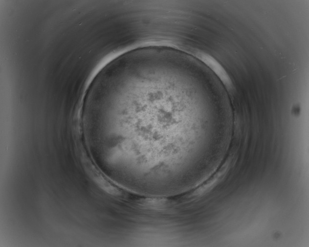 X0000101471052200807141346