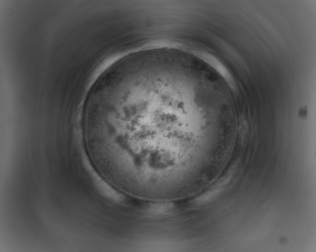 X0000101471055200807141346