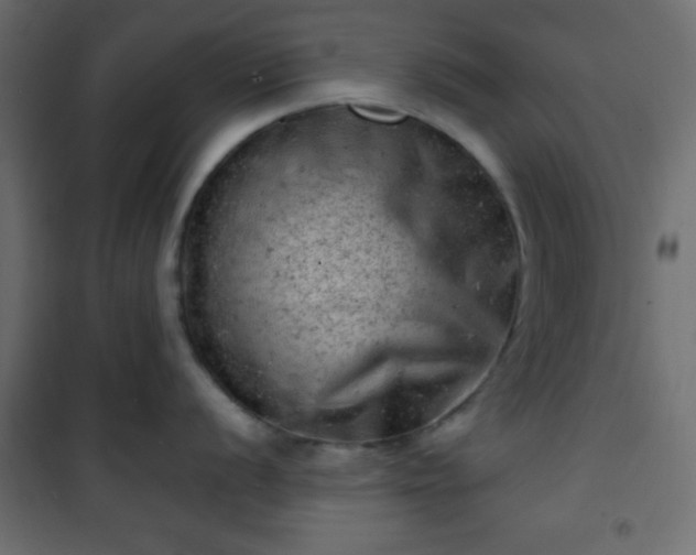 X0000101471056200807141346