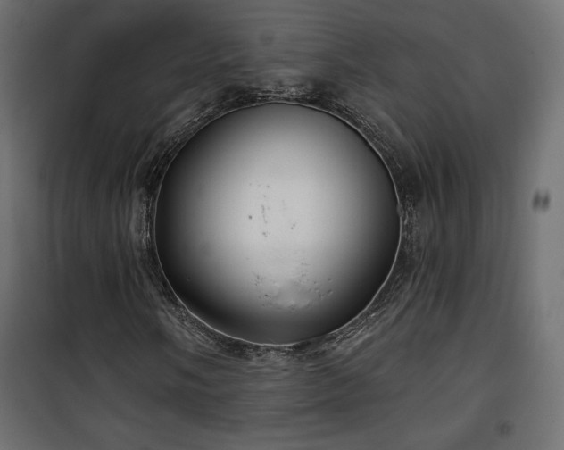 X0000101471058200807141346