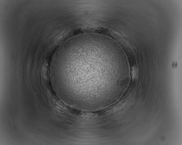 X0000101471059200807141346