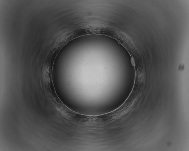 X0000101471060200807141346