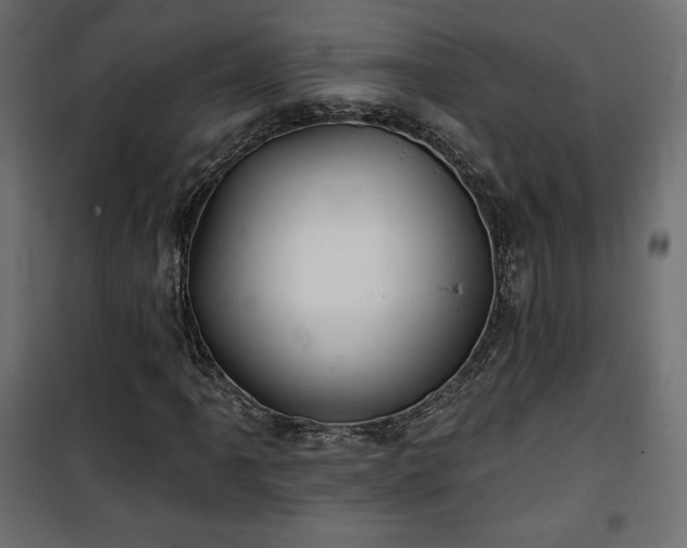 X0000101471061200807141346