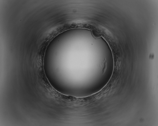 X0000101471062200807141345