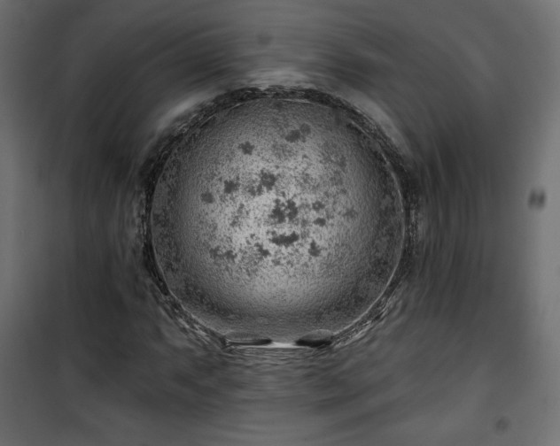 X0000101471063200807141345