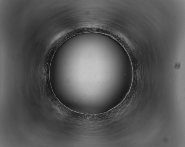 X0000101471064200807141345