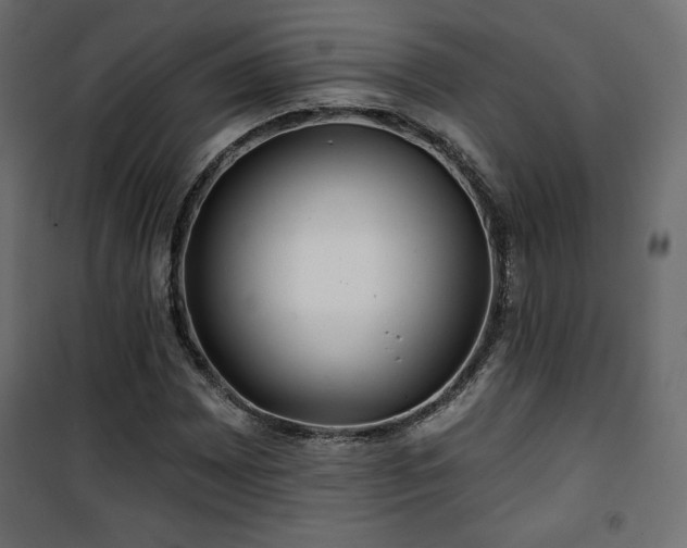 X0000101471065200807141345