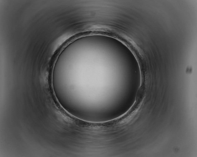 X0000101471066200807141345