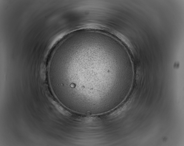 X0000101471067200807141345