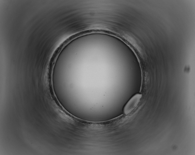 X0000101471068200807141345