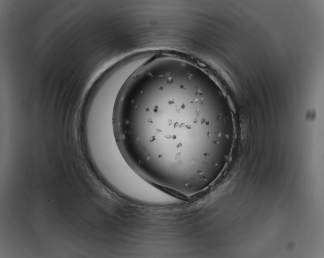 X0000101471069200807141345