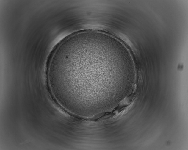 X0000101471071200807141345