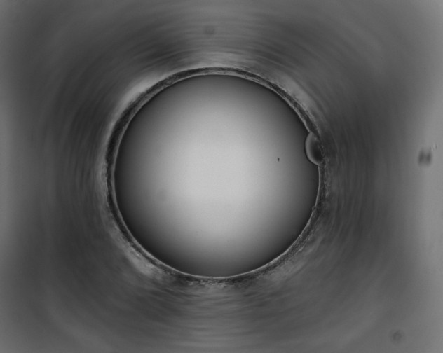 X0000101471072200807141345