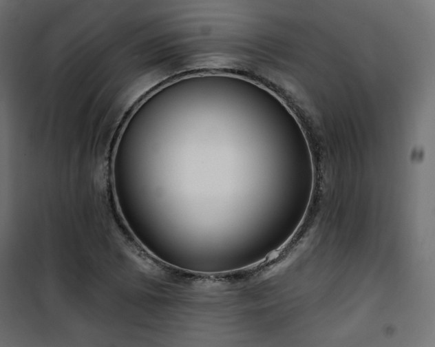 X0000101471073200807141345