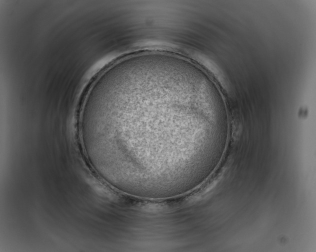 X0000101471074200807141345