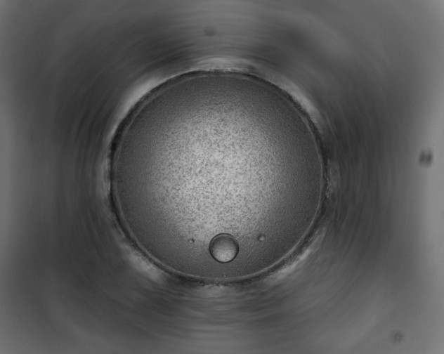 X0000101471075200807141345