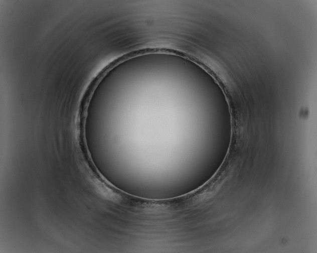 X0000101471076200807141345