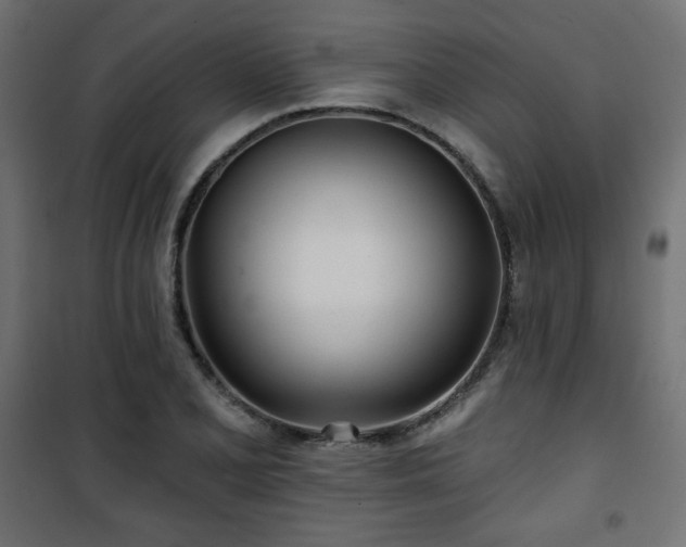 X0000101471077200807141345