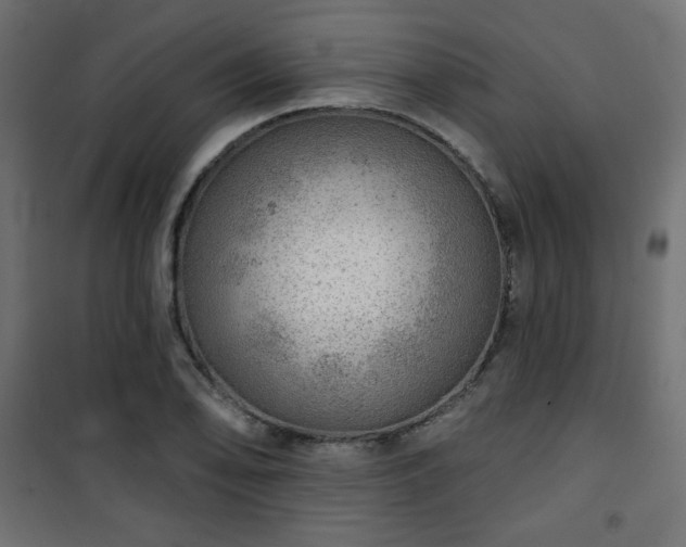 X0000101471078200807141345