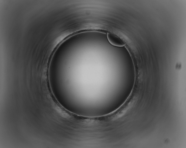 X0000101471081200807141345