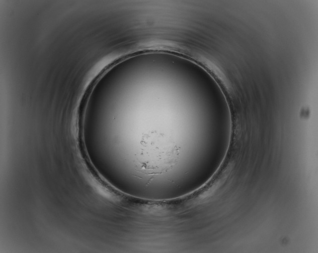 X0000101471082200807141345