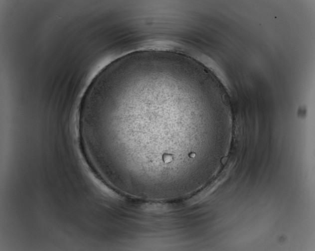 X0000101471083200807141345