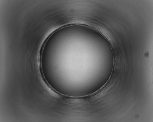 X0000101471084200807141345