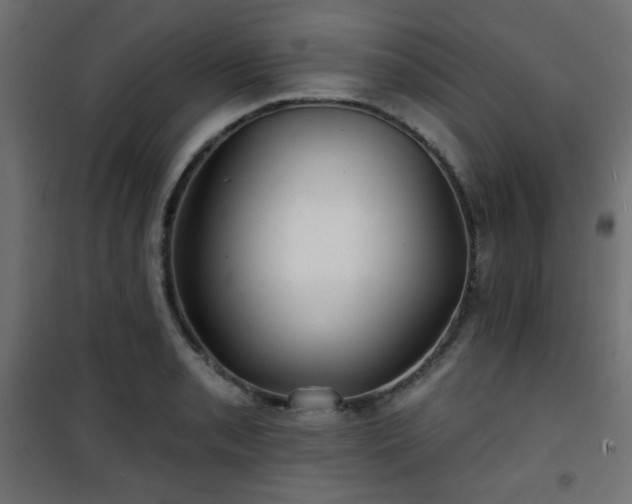 X0000101471085200807141345