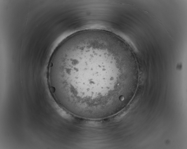 X0000101471086200807141345