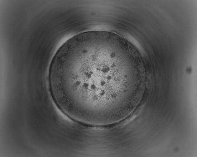 X0000101471087200807141345