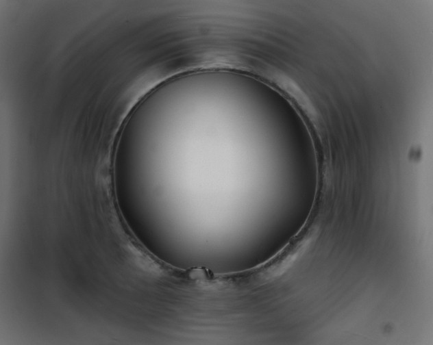 X0000101471089200807141345