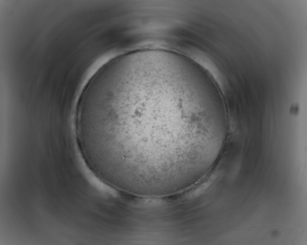 X0000101471090200807141345