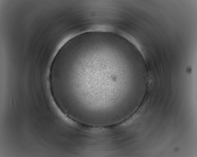 X0000101471091200807141345